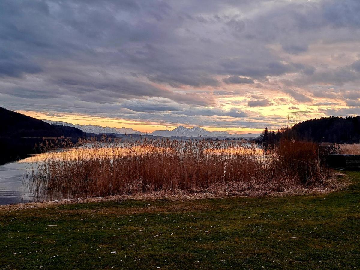 Ferienwohnung Wallersee Ноймаркт-ам-Валлерзе Экстерьер фото